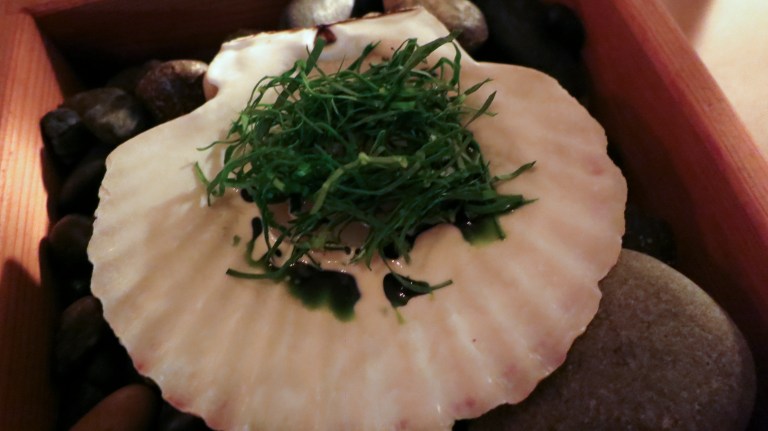 Scallop