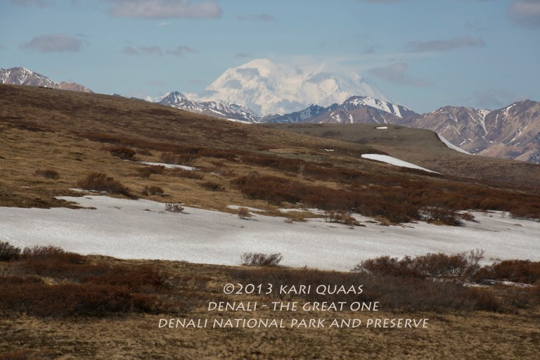 Denali by Kari Quaas