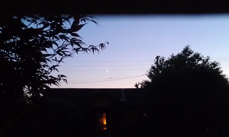 The moon leading up to our wedding week