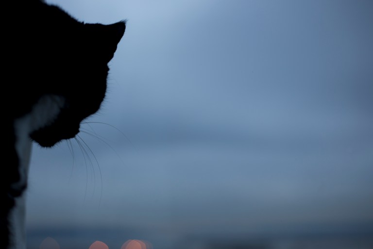 Sunset - December 9, 2013