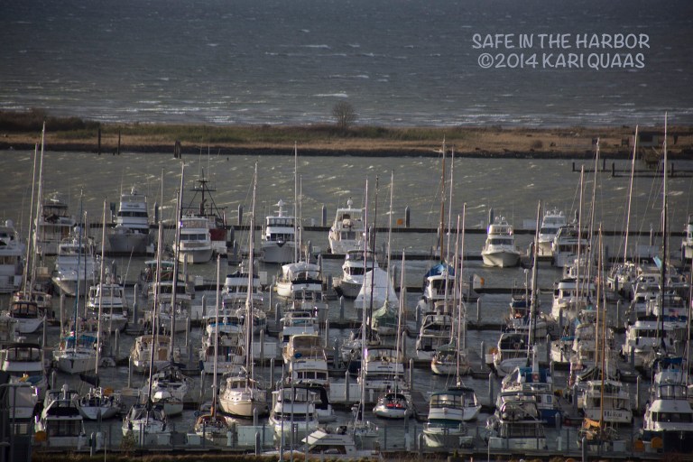 Windy Day - January 11, 2014