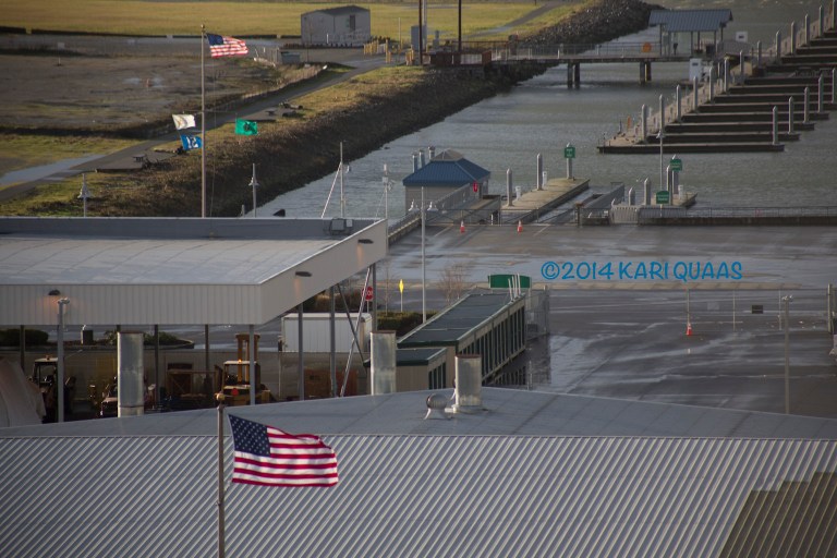 Windy Day - January 11, 2014