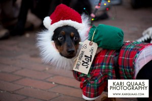 Pioneer Square Howlidays 2014