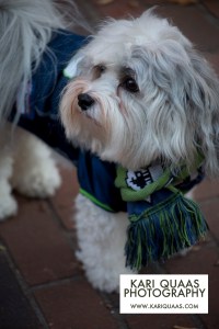 Pioneer Square Howlidays 2014