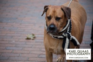 Pioneer Square Howlidays 2014