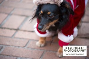 Pioneer Square Howlidays 2014