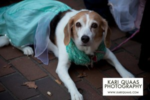Pioneer Square Howlidays 2014