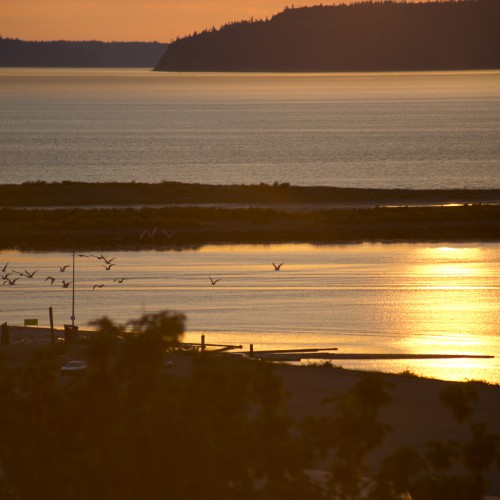 ©2015 Kari Quaas - 70s Record Cover