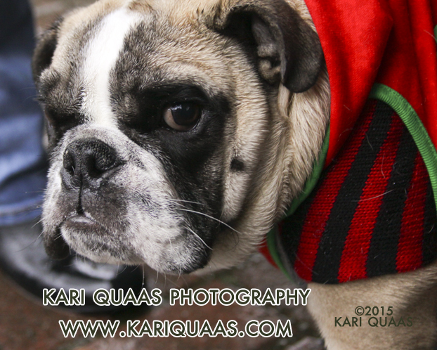 2015 Howlidays in Pioneer Square Seattle