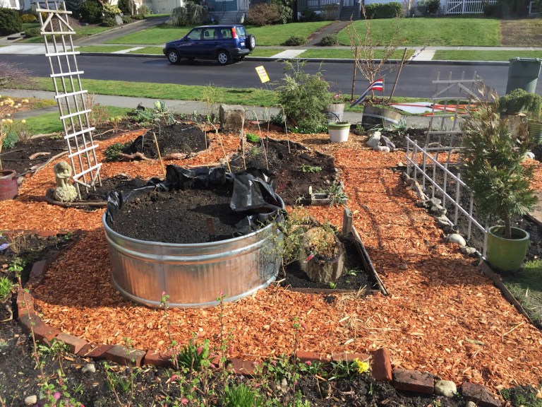 IMG_4446-Kari-Quaas-garden-2016