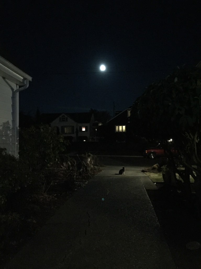 Johan and Moon by Kari Quaas